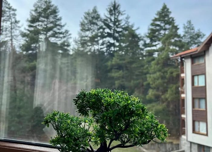 Kosara Home2host Банско